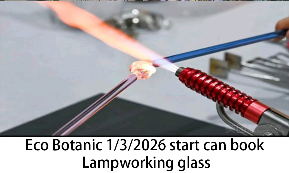 Promotion | Six Trees Art & Pottery