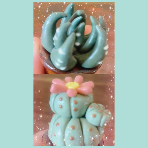 A66 【经济】手捏
【Lite】Hand-Built | Six Trees Art & Pottery